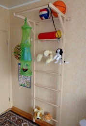 Шведская стенка и турник для дома