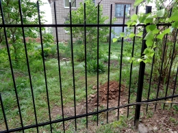 Забор металлический сварной