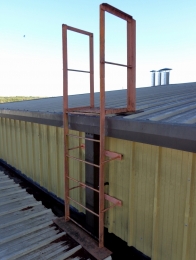 Лестница вертикальная с перилам