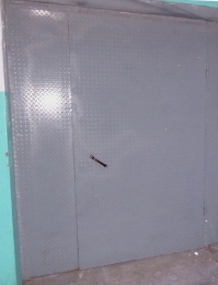 Техническая дверь с глухой створкой