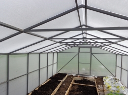 Теплица из поликарбоната, вид изнутри