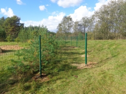 Забор из сетки 3Д