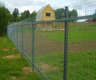 Забор из сварной сетки  (артикул–ЗСС01)
