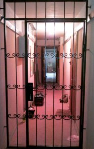 Дверь-решетка тамбурная с ковкой Завиток (артикул-ДР07)